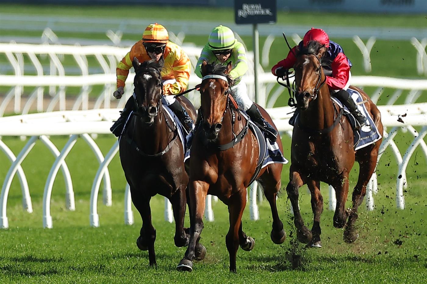 SYDNEY, AUSTRALIA - AUGUST 23: Jay Ford riding  Savvy Hallie win Race 6 Sintoro Silver Shadow Stakes during Sydney Racing at Royal Randwick Racecourse on August 23, 2025 in Sydney, Australia. (Photo by Jeremy Ng/Getty Images)