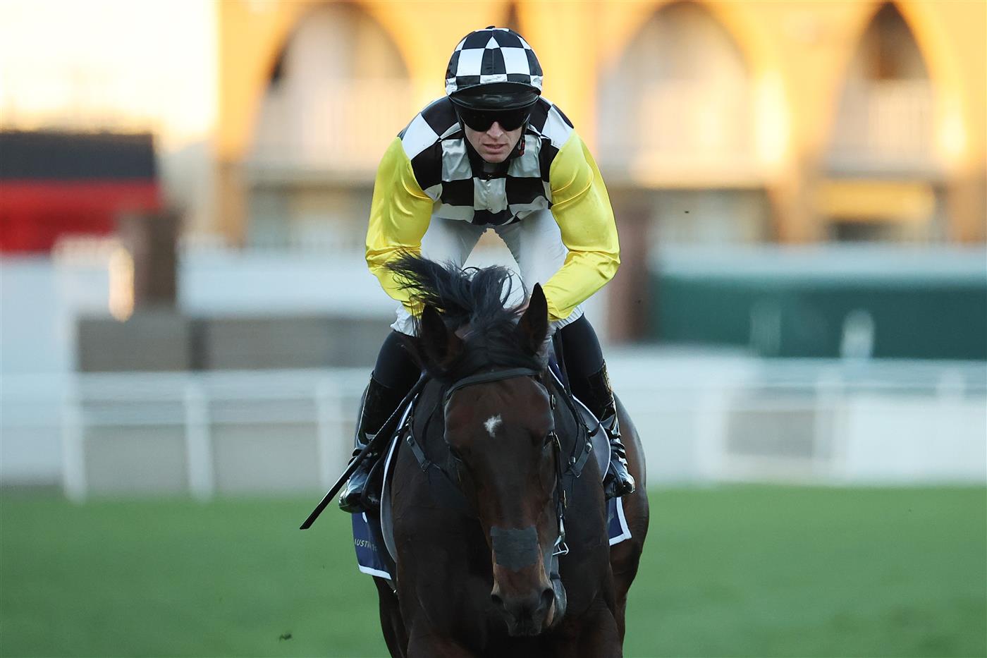 SYDNEY, AUSTRALIA - AUGUST 23: Josh Parr  riding Glad You Think So win Race 10 Wilf and Rosemary Mula 50th Anniversary Mile during Sydney Racing at Royal Randwick Racecourse on August 23, 2025 in Sydney, Australia. (Photo by Jeremy Ng/Getty Images)