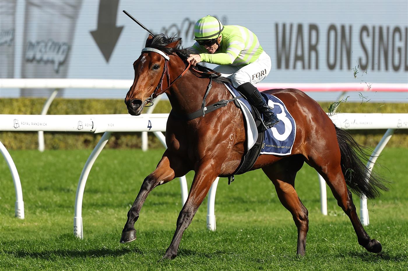 SYDNEY, AUSTRALIA - AUGUST 23: Jay Ford riding  Savvy Hallie win Race 6 Sintoro Silver Shadow Stakes during Sydney Racing at Royal Randwick Racecourse on August 23, 2025 in Sydney, Australia. (Photo by Jeremy Ng/Getty Images)