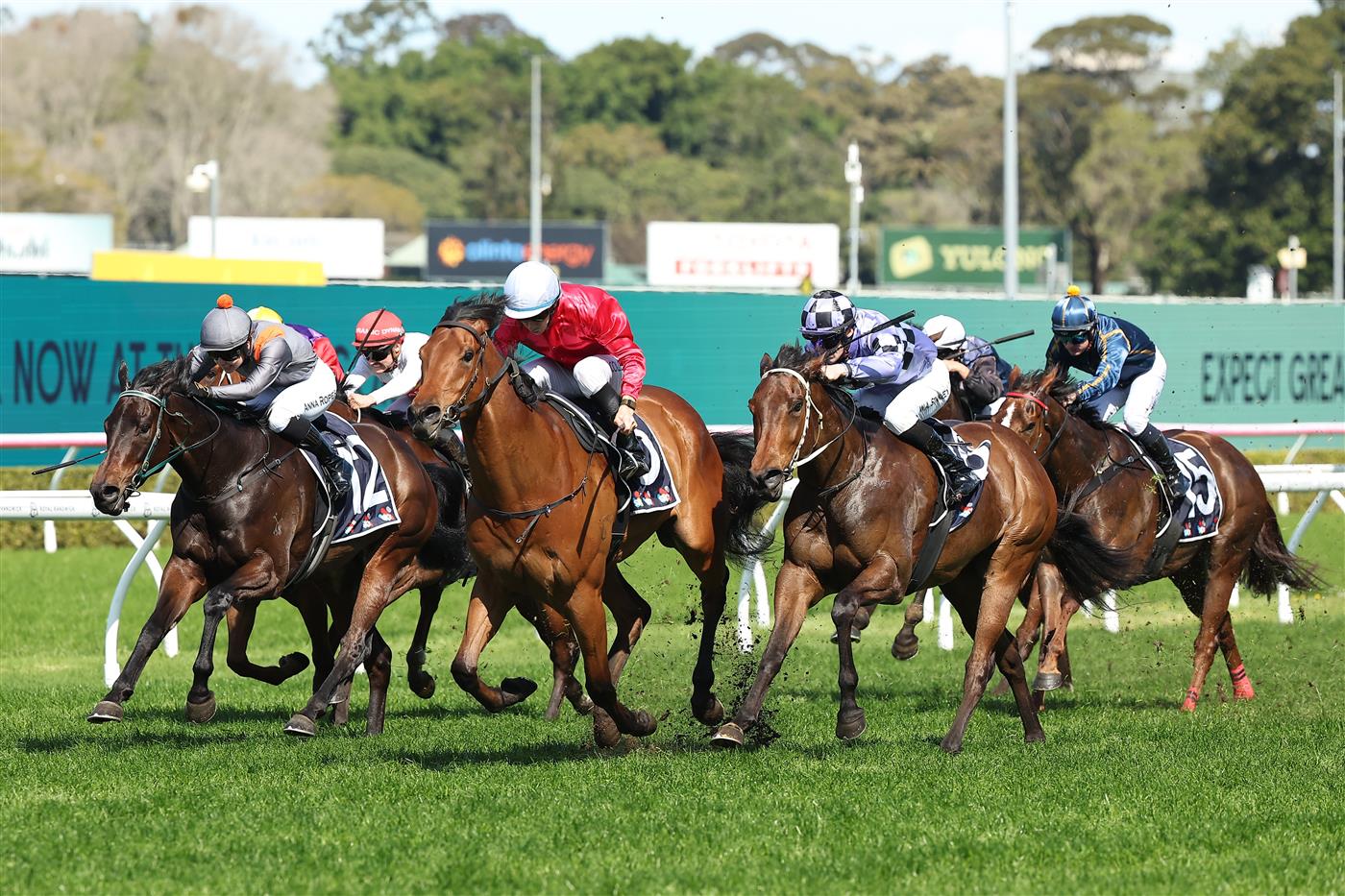 SYDNEY, AUSTRALIA - AUGUST 23: Jason Collett riding  Signor Tortoni win Race 1 Midway during Sydney Racing at Royal Randwick Racecourse on August 23, 2025 in Sydney, Australia. (Photo by Jeremy Ng/Getty Images)