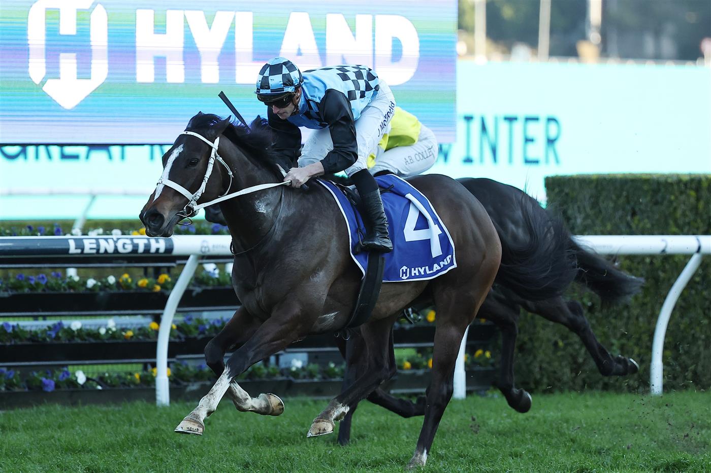 SYDNEY, AUSTRALIA - AUGUST 23: James McDonald riding Lazzura win Race 9 Hyland Race Colours Show County Quality during Sydney Racing at Royal Randwick Racecourse on August 23, 2025 in Sydney, Australia. (Photo by Jeremy Ng/Getty Images)