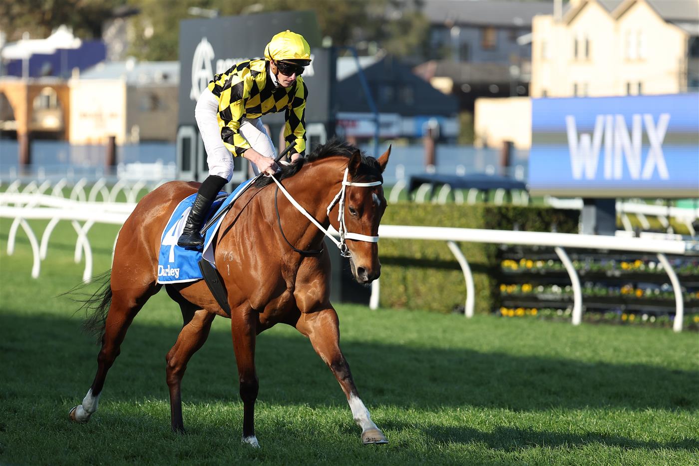 SYDNEY, AUSTRALIA - AUGUST 23: James McDonald riding Autumn Glow win Race 7 Darley Toy Show Quality during Sydney Racing at Royal Randwick Racecourse on August 23, 2025 in Sydney, Australia. (Photo by Jeremy Ng/Getty Images)