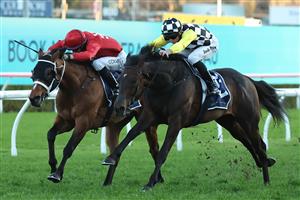 SYDNEY, AUSTRALIA - AUGUST 23: Josh Parr  riding Glad You Think So win Race 10 Wilf and Rosemary Mula 50th Anniversary Mile during Sydney Racing at Royal Randwick Racecourse on August 23, 2025 in Sydney, Australia. (Photo by Jeremy Ng/Getty Images)