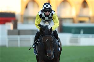 SYDNEY, AUSTRALIA - AUGUST 23: Josh Parr  riding Glad You Think So win Race 10 Wilf and Rosemary Mula 50th Anniversary Mile during Sydney Racing at Royal Randwick Racecourse on August 23, 2025 in Sydney, Australia. (Photo by Jeremy Ng/Getty Images)