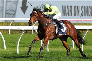 SYDNEY, AUSTRALIA - AUGUST 23: Jay Ford riding  Savvy Hallie win Race 6 Sintoro Silver Shadow Stakes during Sydney Racing at Royal Randwick Racecourse on August 23, 2025 in Sydney, Australia. (Photo by Jeremy Ng/Getty Images)