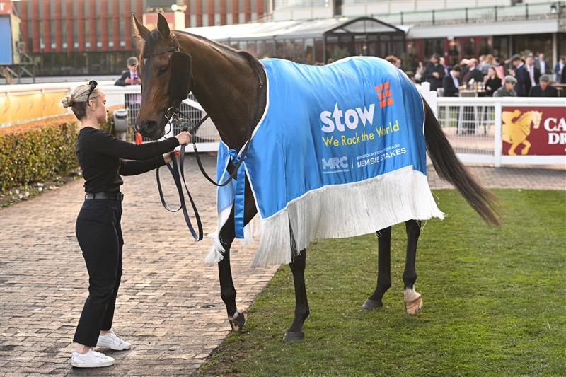 MELBOURNE, AUSTRALIA - AUGUST 30: Treasurethe Moment after winnin Race 9, the Stow Storage Memsie Stakes during Melbourne Racing at Caulfield Racecourse on August 30, 2025 in Melbourne, Australia. (Photo by Vince Caligiuri/Getty Images)