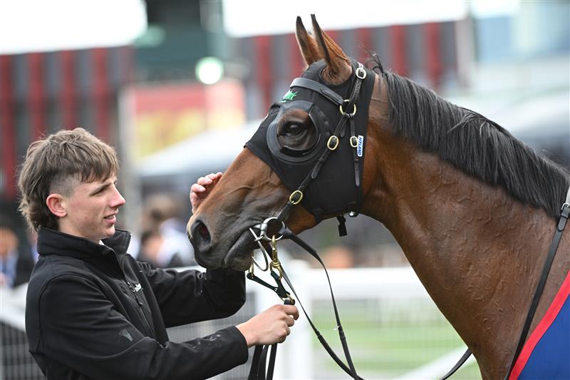 MELBOURNE, AUSTRALIA - AUGUST 30: Tycoon Star after winning Race 6, the Ive > Mcneil Stakes during Melbourne Racing at Caulfield Racecourse on August 30, 2025 in Melbourne, Australia. (Photo by Vince Caligiuri/Getty Images)