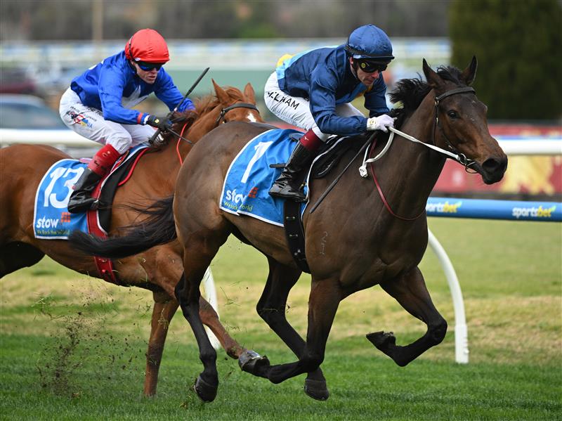 MELBOURNE, AUSTRALIA - AUGUST 30: Ben Melham riding On Display winning Race 2, the Stow Robotics Handicap during Melbourne Racing at Caulfield Racecourse on August 30, 2025 in Melbourne, Australia. (Photo by Vince Caligiuri/Getty Images)
