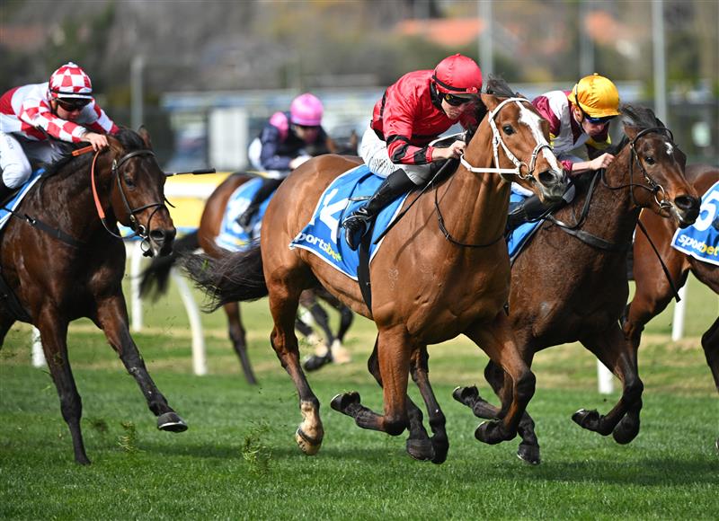 MELBOURNE, AUSTRALIA - AUGUST 30: Damian Lane riding Unlimited winning Race 1, the Sportsbet Get On Now Handicap during Melbourne Racing at Caulfield Racecourse on August 30, 2025 in Melbourne, Australia. (Photo by Vince Caligiuri/Getty Images)