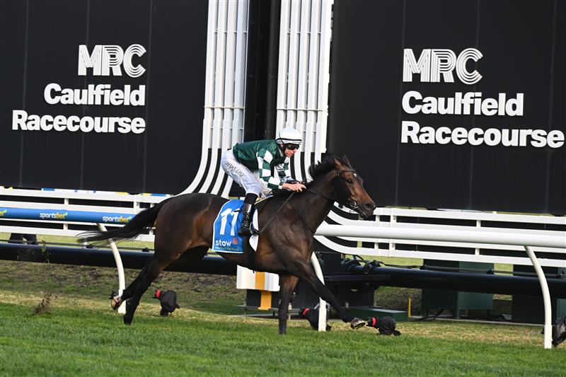 MELBOURNE, AUSTRALIA - AUGUST 30: Damian Lane riding Treasurethe Moment winning Race 9, the Stow Storage Memsie Stakes during Melbourne Racing at Caulfield Racecourse on August 30, 2025 in Melbourne, Australia. (Photo by Vince Caligiuri/Getty Images)