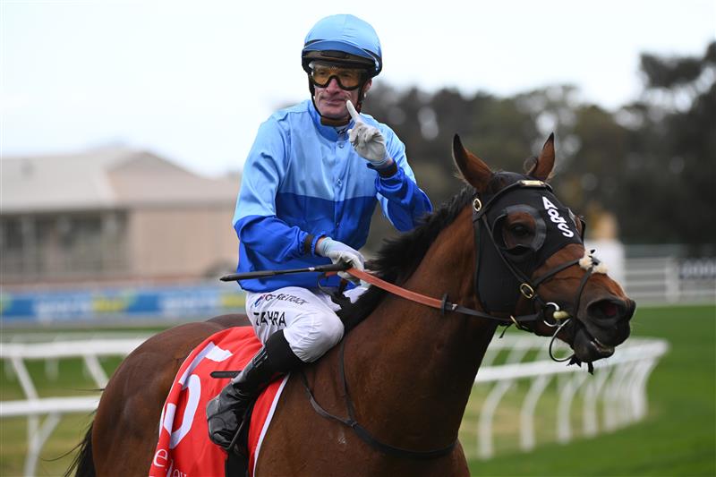 MELBOURNE, AUSTRALIA - AUGUST 30: Mark Zahra riding Tropicus winning Race 7, the The Henley Homes Heath 1100  during Melbourne Racing at Caulfield Racecourse on August 30, 2025 in Melbourne, Australia. (Photo by Vince Caligiuri/Getty Images)