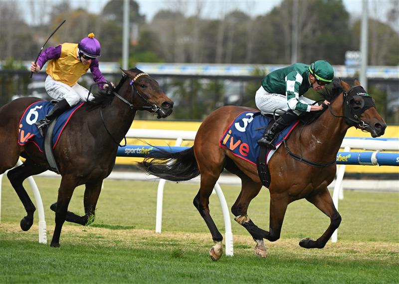 MELBOURNE, AUSTRALIA - AUGUST 30: Michael Dee riding Tycoon Star winning Race 6, the Ive > Mcneil Stakes during Melbourne Racing at Caulfield Racecourse on August 30, 2025 in Melbourne, Australia. (Photo by Vince Caligiuri/Getty Images)