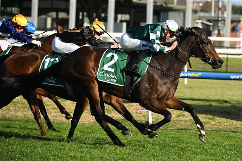 MELBOURNE, AUSTRALIA - AUGUST 30: Michael Dee riding Magic Time winning Race 8, the Evergreen Turf Cockram Stakes  during Melbourne Racing at Caulfield Racecourse on August 30, 2025 in Melbourne, Australia. (Photo by Vince Caligiuri/Getty Images)