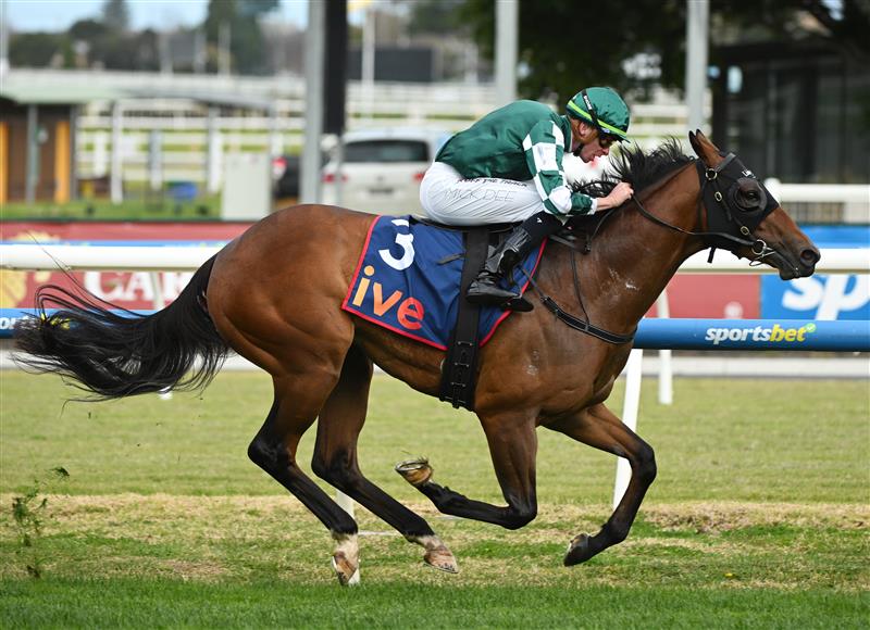 MELBOURNE, AUSTRALIA - AUGUST 30: Michael Dee riding Tycoon Star winning Race 6, the Ive > Mcneil Stakes during Melbourne Racing at Caulfield Racecourse on August 30, 2025 in Melbourne, Australia. (Photo by Vince Caligiuri/Getty Images)