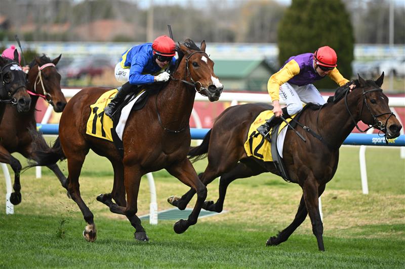 MELBOURNE, AUSTRALIA - AUGUST 30: Logan Bates riding Keep Your Cool defeats Tom Prebble riding Sassy Boom in Race 3, the Schweppes Handicap during Melbourne Racing at Caulfield Racecourse on August 30, 2025 in Melbourne, Australia. (Photo by Vince Caligiuri/Getty Images)