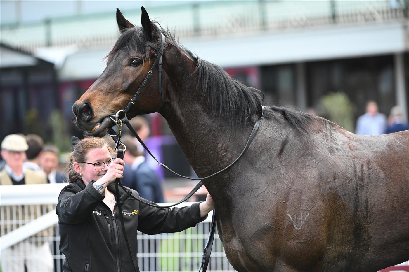 MELBOURNE, AUSTRALIA - AUGUST 30: Revelare after winning Race 4, the Remembering Mikaela Claridge during Melbourne Racing at Caulfield Racecourse on August 30, 2025 in Melbourne, Australia. (Photo by Vince Caligiuri/Getty Images)