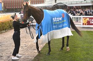 MELBOURNE, AUSTRALIA - AUGUST 30: Treasurethe Moment after winnin Race 9, the Stow Storage Memsie Stakes during Melbourne Racing at Caulfield Racecourse on August 30, 2025 in Melbourne, Australia. (Photo by Vince Caligiuri/Getty Images)