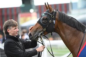 MELBOURNE, AUSTRALIA - AUGUST 30: Tycoon Star after winning Race 6, the Ive > Mcneil Stakes during Melbourne Racing at Caulfield Racecourse on August 30, 2025 in Melbourne, Australia. (Photo by Vince Caligiuri/Getty Images)