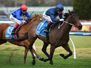 MELBOURNE, AUSTRALIA - AUGUST 30: Ben Melham riding On Display winning Race 2, the Stow Robotics Handicap during Melbourne Racing at Caulfield Racecourse on August 30, 2025 in Melbourne, Australia. (Photo by Vince Caligiuri/Getty Images)