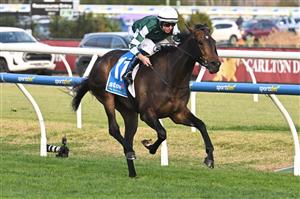 MELBOURNE, AUSTRALIA - AUGUST 30: Damian Lane riding Treasurethe Moment winning Race 9, the Stow Storage Memsie Stakes during Melbourne Racing at Caulfield Racecourse on August 30, 2025 in Melbourne, Australia. (Photo by Vince Caligiuri/Getty Images)