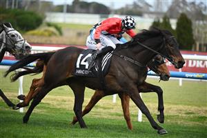 MELBOURNE, AUSTRALIA - AUGUST 30: Declan Bates riding Revelare winning Race 4, the Remembering Mikaela Claridge during Melbourne Racing at Caulfield Racecourse on August 30, 2025 in Melbourne, Australia. (Photo by Vince Caligiuri/Getty Images)