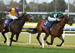 MELBOURNE, AUSTRALIA - AUGUST 30: Michael Dee riding Tycoon Star winning Race 6, the Ive > Mcneil Stakes during Melbourne Racing at Caulfield Racecourse on August 30, 2025 in Melbourne, Australia. (Photo by Vince Caligiuri/Getty Images)