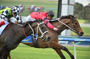 Loading