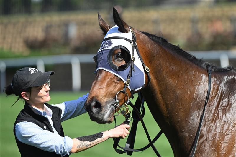 MELBOURNE, AUSTRALIA - SEPTEMBER 06: Rise To It after winning Race 4, the Rexel Electrical Supplies Handicap during Melbourne Racing at Moonee Valley Racecourse on September 06, 2025 in Melbourne, Australia. (Photo by Vince Caligiuri/Getty Images)