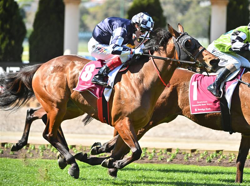 MELBOURNE, AUSTRALIA - SEPTEMBER 06: Craig Williams riding Farhh Flung winning Race 3, the Strathmore Community Bendigo Bank  during Melbourne Racing at Moonee Valley Racecourse on September 06, 2025 in Melbourne, Australia. (Photo by Vince Caligiuri/Getty Images)