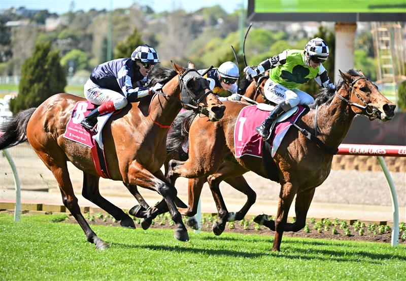 MELBOURNE, AUSTRALIA - SEPTEMBER 06: Craig Williams riding Farhh Flung winning Race 3, the Strathmore Community Bendigo Bank  during Melbourne Racing at Moonee Valley Racecourse on September 06, 2025 in Melbourne, Australia. (Photo by Vince Caligiuri/Getty Images)
