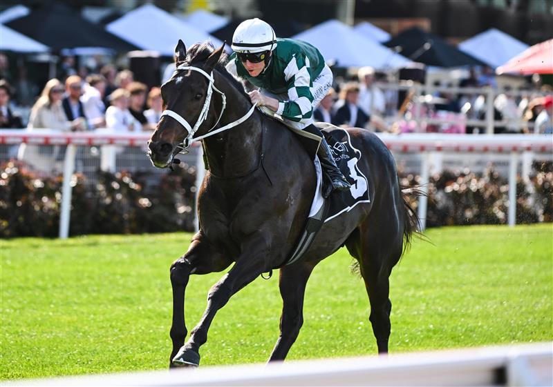 MELBOURNE, AUSTRALIA - SEPTEMBER 06: Damian Lane riding Angel Capital winning Race 5, the Orbit Logistics Chautauqua Stakes during Melbourne Racing at Moonee Valley Racecourse on September 06, 2025 in Melbourne, Australia. (Photo by Vince Caligiuri/Getty Images)