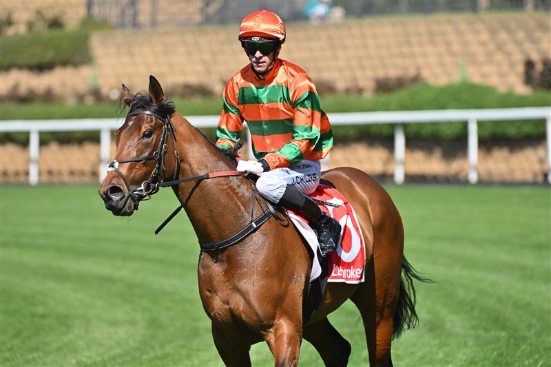 MELBOURNE, AUSTRALIA - SEPTEMBER 06: Jordan Childs riding Miewa after winning Race 1, the Ladbrokes Top 2/3/4 Betting Handicap during Melbourne Racing at Moonee Valley Racecourse on September 06, 2025 in Melbourne, Australia. (Photo by Vince Caligiuri/Getty Images)