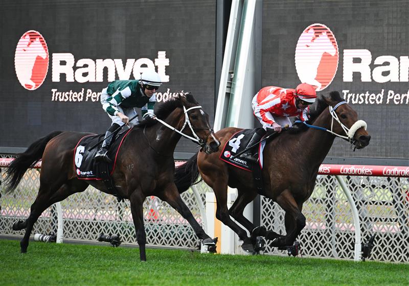 MELBOURNE, AUSTRALIA - SEPTEMBER 06: Luke Nolen riding Desert Lightning defeats Damian Lane riding Moira in Race 8, the Ranvet So You Think Stakes during Melbourne Racing at Moonee Valley Racecourse on September 06, 2025 in Melbourne, Australia. (Photo by Vince Caligiuri/Getty Images)