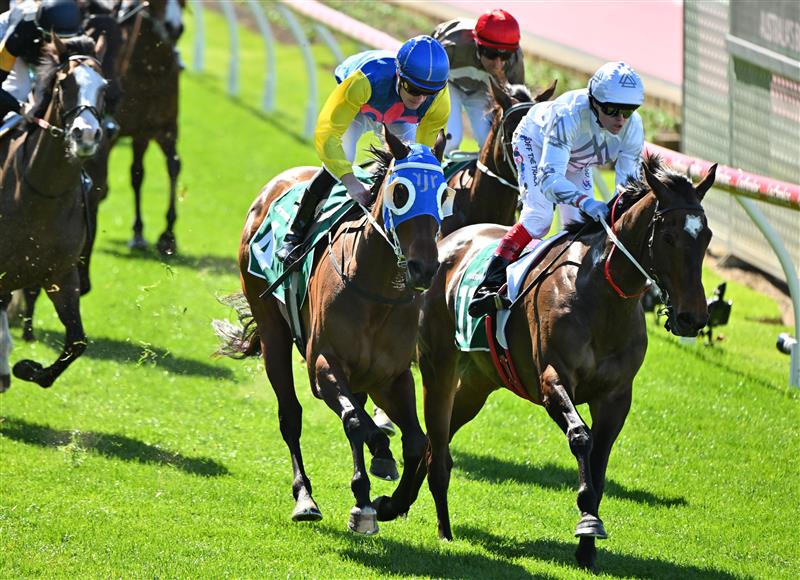 MELBOURNE, AUSTRALIA - SEPTEMBER 06: Mark Zahra riding Jazz Affair (L) defeat Craig Williams riding Yachiyo in Race 2, the Drummond Golf Handicap during Melbourne Racing at Moonee Valley Racecourse on September 06, 2025 in Melbourne, Australia. (Photo by Vince Caligiuri/Getty Images)