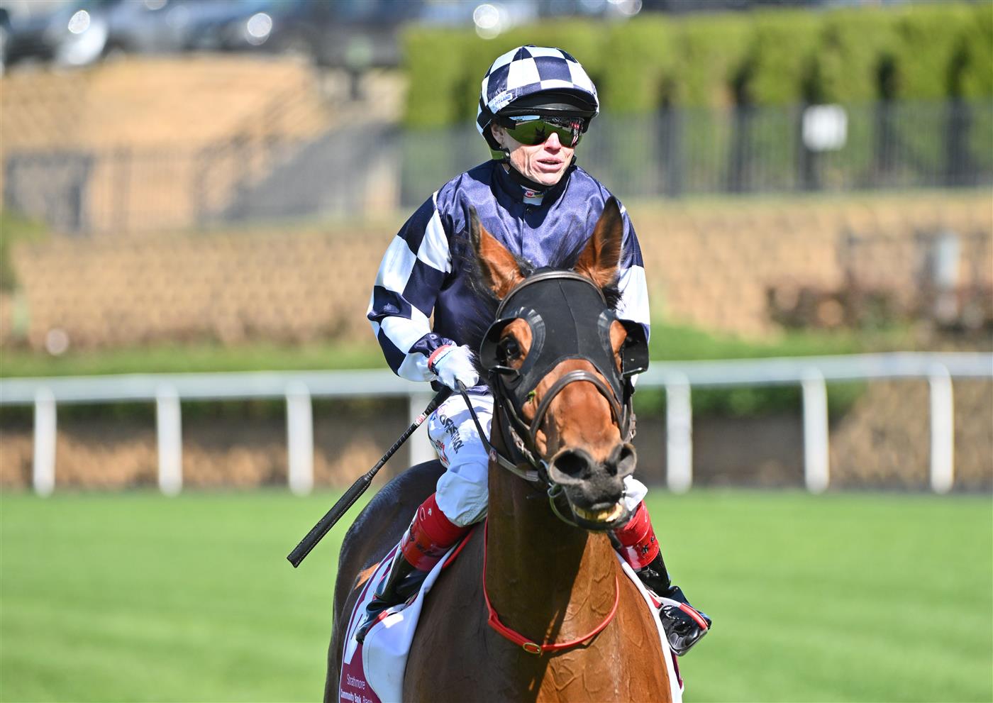 MELBOURNE, AUSTRALIA - SEPTEMBER 06: Craig Williams riding Farhh Flung after winning Race 3, the Strathmore Community Bendigo Bank  during Melbourne Racing at Moonee Valley Racecourse on September 06, 2025 in Melbourne, Australia. (Photo by Vince Caligiuri/Getty Images)