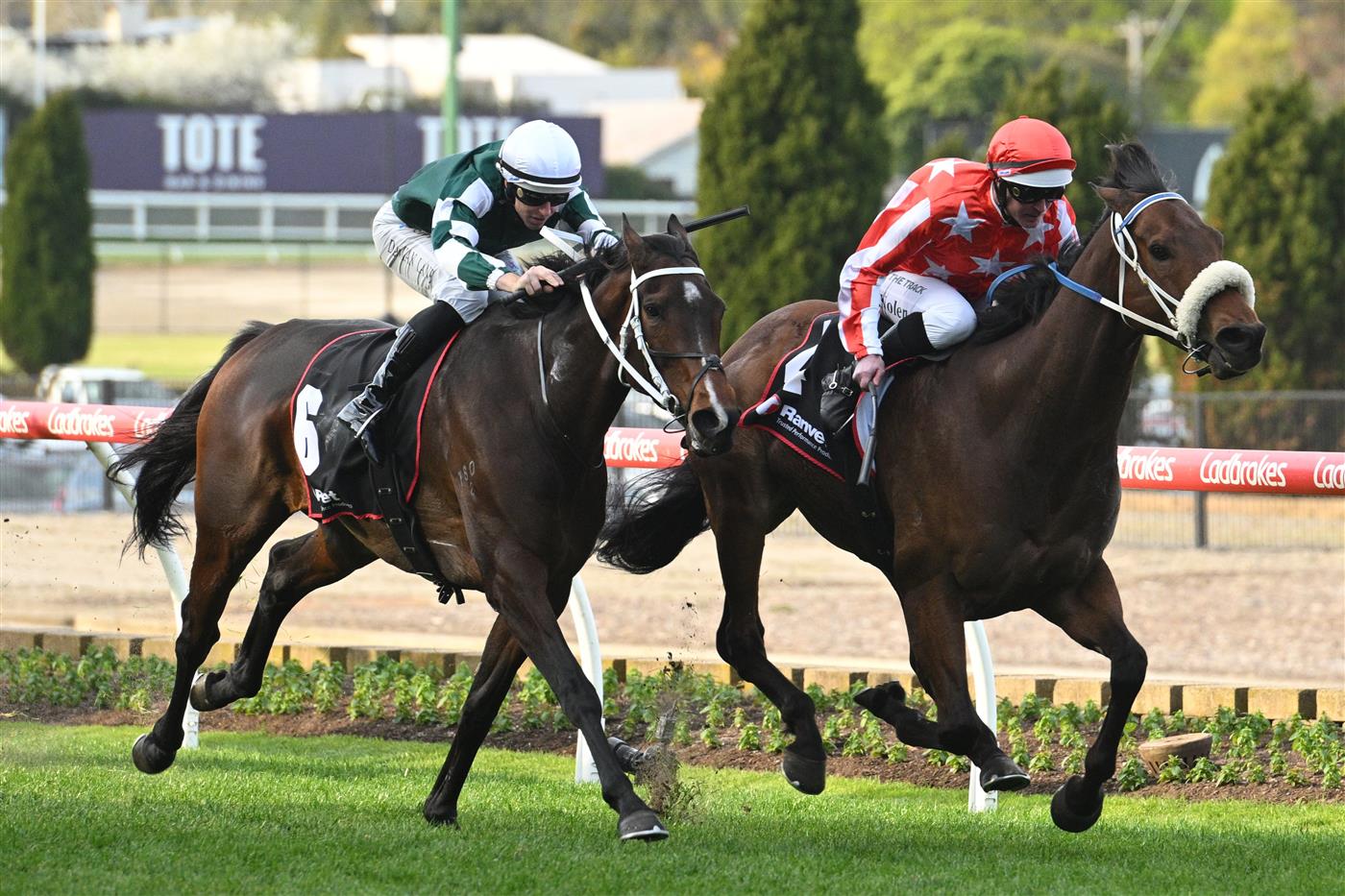 MELBOURNE, AUSTRALIA - SEPTEMBER 06: Luke Nolen riding Desert Lightning defeats Damian Lane riding Moira in Race 8, the Ranvet So You Think Stakes during Melbourne Racing at Moonee Valley Racecourse on September 06, 2025 in Melbourne, Australia. (Photo by Vince Caligiuri/Getty Images)