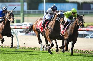 MELBOURNE, AUSTRALIA - SEPTEMBER 06: Luke Cartwright riding Rise To It winning Race 4, the Rexel Electrical Supplies Handicap during Melbourne Racing at Moonee Valley Racecourse on September 06, 2025 in Melbourne, Australia. (Photo by Vince Caligiuri/Getty Images)