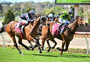 MELBOURNE, AUSTRALIA - SEPTEMBER 06: Craig Williams riding Farhh Flung winning Race 3, the Strathmore Community Bendigo Bank  during Melbourne Racing at Moonee Valley Racecourse on September 06, 2025 in Melbourne, Australia. (Photo by Vince Caligiuri/Getty Images)