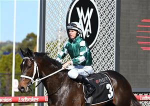 MELBOURNE, AUSTRALIA - SEPTEMBER 06: Damian Lane riding Angel Capital after winning Race 5, the Orbit Logistics Chautauqua Stakes during Melbourne Racing at Moonee Valley Racecourse on September 06, 2025 in Melbourne, Australia. (Photo by Vince Caligiuri/Getty Images)