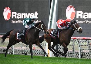 MELBOURNE, AUSTRALIA - SEPTEMBER 06: Luke Nolen riding Desert Lightning defeats Damian Lane riding Moira in Race 8, the Ranvet So You Think Stakes during Melbourne Racing at Moonee Valley Racecourse on September 06, 2025 in Melbourne, Australia. (Photo by Vince Caligiuri/Getty Images)