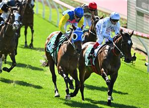 MELBOURNE, AUSTRALIA - SEPTEMBER 06: Mark Zahra riding Jazz Affair (L) defeat Craig Williams riding Yachiyo in Race 2, the Drummond Golf Handicap during Melbourne Racing at Moonee Valley Racecourse on September 06, 2025 in Melbourne, Australia. (Photo by Vince Caligiuri/Getty Images)