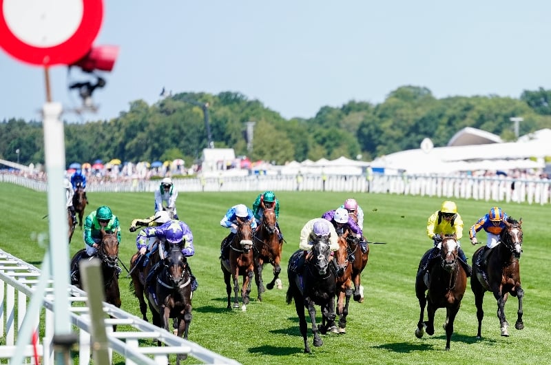 carmers ascot