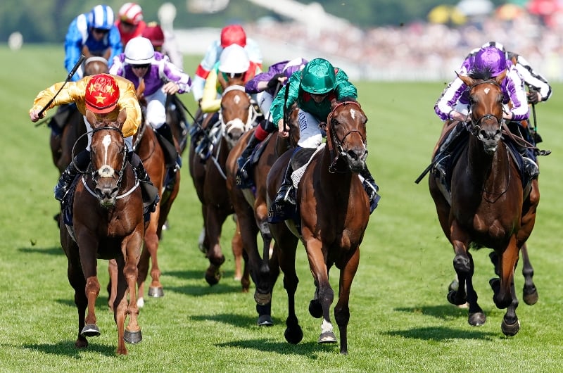 cercene ascot cercene ascot