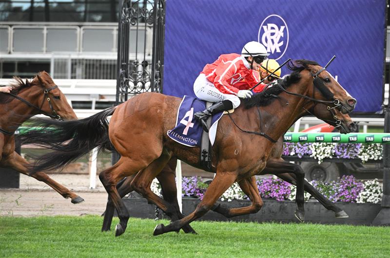 MELBOURNE, AUSTRALIA - SEPTEMBER 13: Celine Gaudray riding Cafe Millenium defeats Transaltlantic in Race 5, the Tontonan Stakes during Melbourne Racing at Flemington Racecourse on September 13, 2025 in Melbourne, Australia. (Photo by Vince Caligiuri/Getty Images)