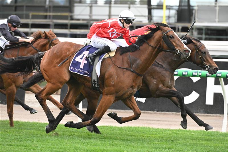 MELBOURNE, AUSTRALIA - SEPTEMBER 13: Celine Gaudray riding Cafe Millenium defeats Transaltlantic in Race 5, the Tontonan Stakes during Melbourne Racing at Flemington Racecourse on September 13, 2025 in Melbourne, Australia. (Photo by Vince Caligiuri/Getty Images)