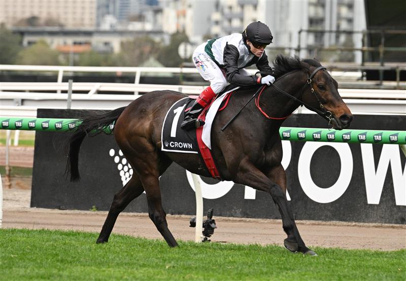 MELBOURNE, AUSTRALIA - SEPTEMBER 13: Craig Williams riding Mr Brightside winning Race 8, the Crown Makybe Diva Stakes during Melbourne Racing at Flemington Racecourse on September 13, 2025 in Melbourne, Australia. (Photo by Vince Caligiuri/Getty Images)