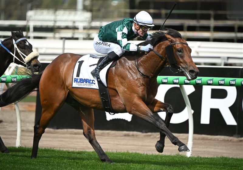 MELBOURNE, AUSTRALIA - SEPTEMBER 13: Mark Zahra riding Vinrock winning Race 3, the Rubaroc Exford Plate during Melbourne Racing at Flemington Racecourse on September 13, 2025 in Melbourne, Australia. (Photo by Vince Caligiuri/Getty Images)