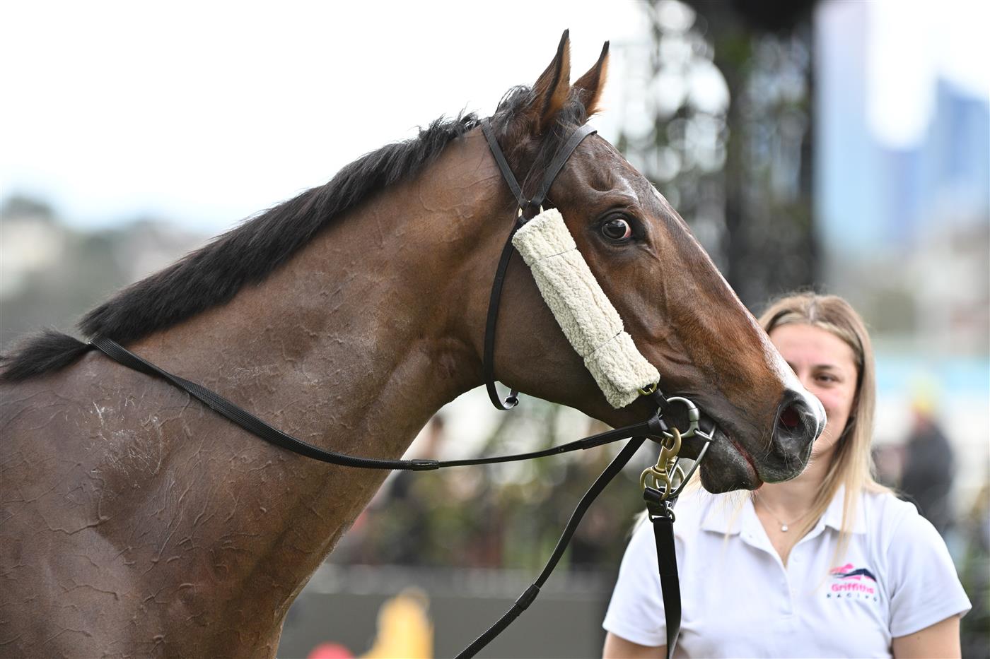 MELBOURNE, AUSTRALIA - SEPTEMBER 13: Legacy Bound after winning Race 2, the Schweppes Poseidon Stakes during Melbourne Racing at Flemington Racecourse on September 13, 2025 in Melbourne, Australia. (Photo by Vince Caligiuri/Getty Images)