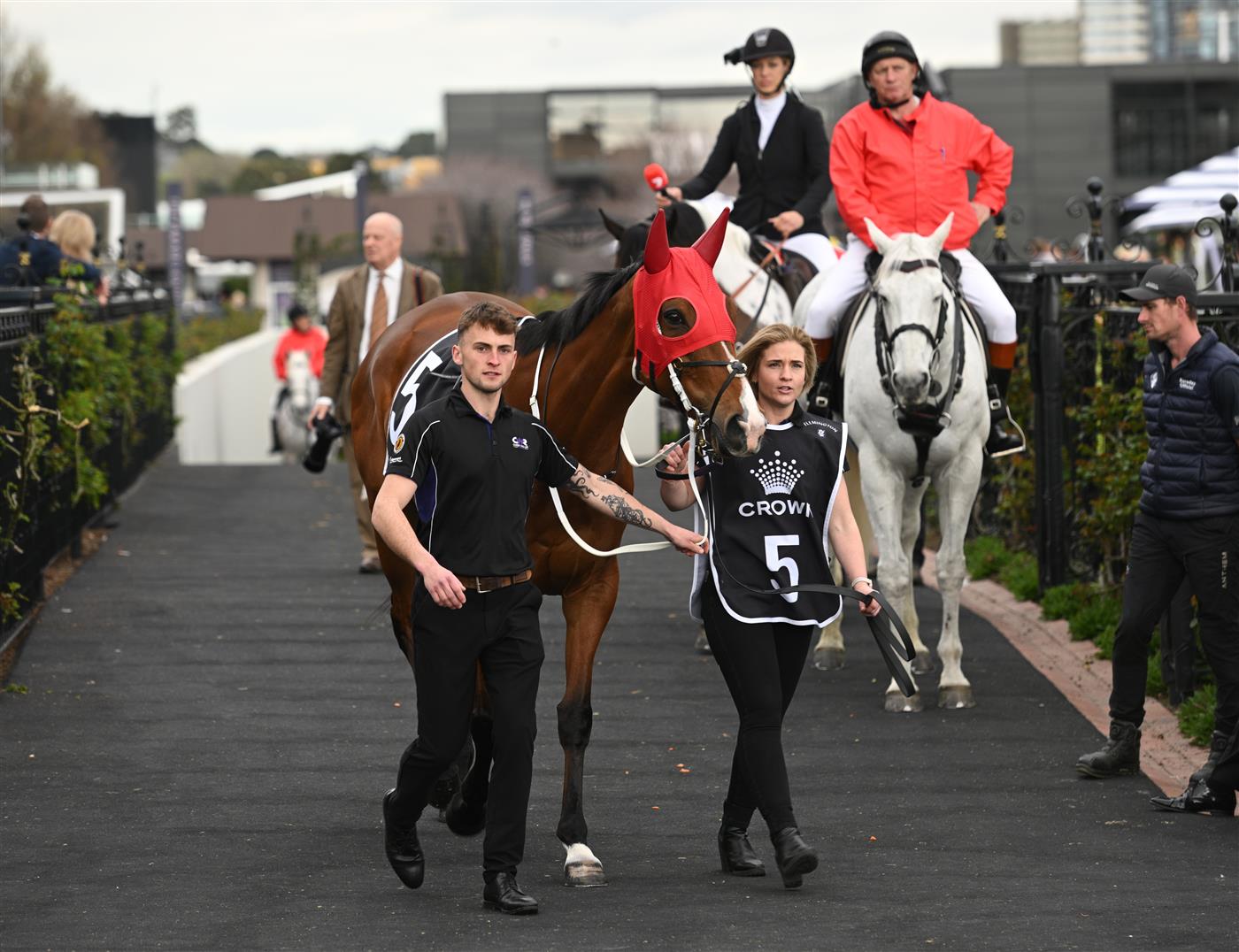 MELBOURNE, AUSTRALIA - SEPTEMBER 13: Via Sistina before Race 8, the Crown Makybe Diva Stakes  during Melbourne Racing at Flemington Racecourse on September 13, 2025 in Melbourne, Australia. (Photo by Vince Caligiuri/Getty Images)