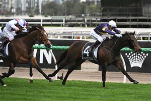 MELBOURNE, AUSTRALIA - SEPTEMBER 13: Blake Shinn riding Arkansaw Kid defeats Star Patrol in Race 6, the Hkjc World Pool Bobbie Lewis Quality during Melbourne Racing at Flemington Racecourse on September 13, 2025 in Melbourne, Australia. (Photo by Vince Caligiuri/Getty Images)